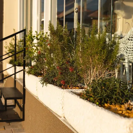 D8 Bed & Breakfast Zadar